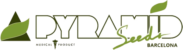 Pyramid Seeds logo
