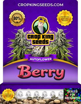 Berry Autoflowering Marijuana Seeds seed price history