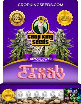 Fresh Candy Autoflower Marijuana Seeds seed price history