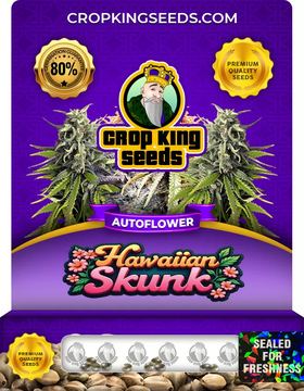 Hawaiian Skunk Autoflower Marijuana Seeds seed price history