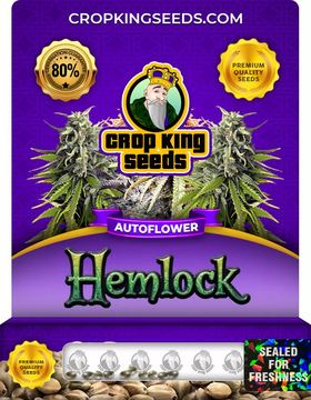 Hemlock Autoflower Marijuana Seeds seed price history