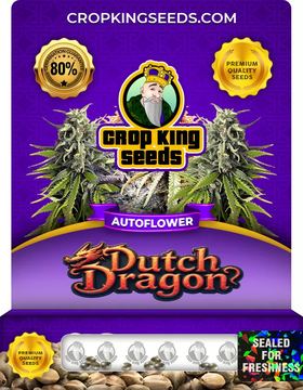 Dutch Dragon Autoflower Marijuana Seeds seed price history