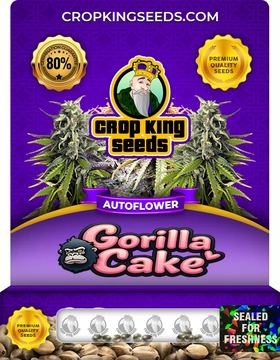 Gorilla Cake Autoflower Marijuana Seeds seed price history