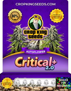 Critical + 2.0 Autoflower Marijuana Seeds seed price history