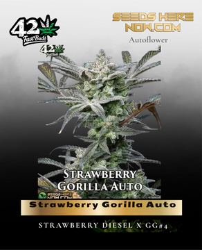 Strawberry Gorilla Auto by Fast Buds