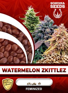 Watermelon Zkittlez Feminized by Barney's Farm