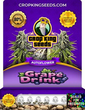 Grape Drink Autoflower Marijuana Seeds seed price history