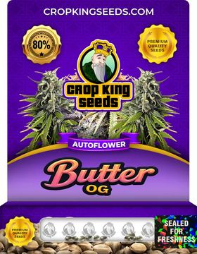 Butter OG Autoflowering Marijuana Seeds seed price history