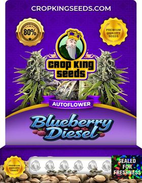 Blueberry Diesel Autoflowering Marijuana Seeds seed price history