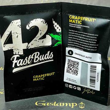 Fast Buds - GRAPEFRUIT' MATIC - 5 Feminized Autoflower Seeds - Gaslamp Seeds by Fast Buds