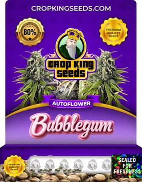 Bubblegum Autoflowering Marijuana Seeds seed price history