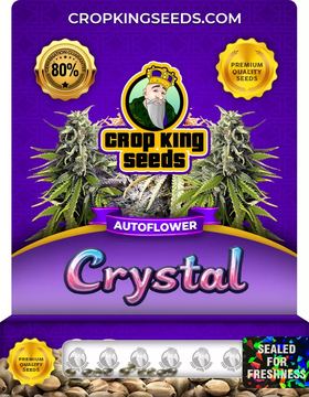 Crystal Autoflower Marijuana Seeds seed price history