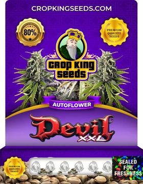 Devil XXL Autoflower Marijuana Seeds seed price history