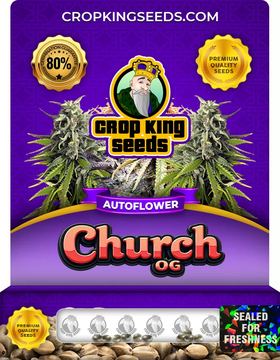Church OG Autoflowering Marijuana Seeds seed price history